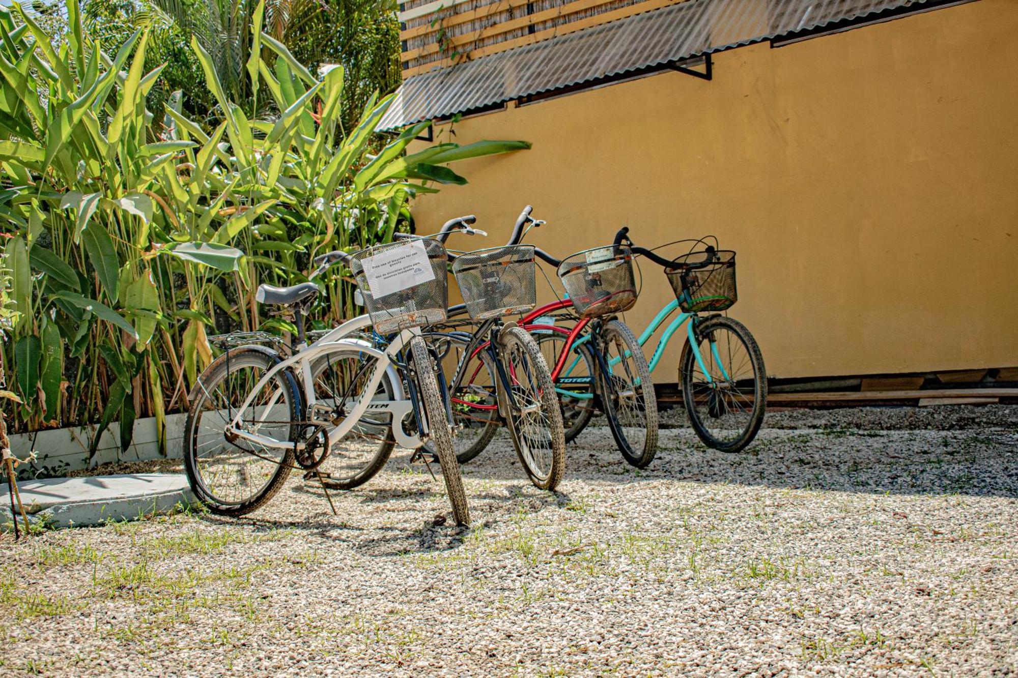 Hotel Habitat Surf Glamp Playa Santa Teresa  Exterior foto